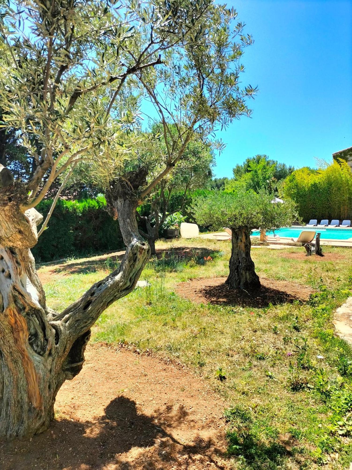 Vacances Carnoux-en-Provence Kültér fotó